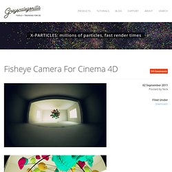 Fisheye Camera For Cinema 4D - Greyscalegorilla Blog