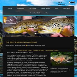 White River Trout Fishing Report Arkansas