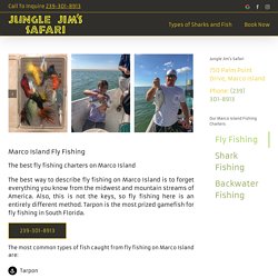 Marco Island Fly Fishing » Florida Fishing Charters