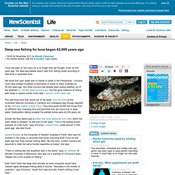 Deep sea fishing for tuna began 42,000 years ago - life - 24 November 2011