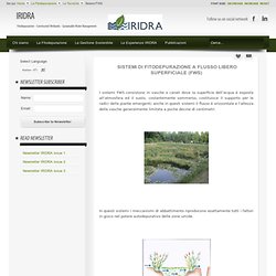 Fitodepurazione - Constructed Wetlands.