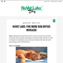 Five More Dog Myths Revealed