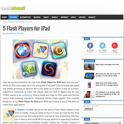 5 Flash Players for iPad