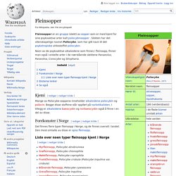 Fleinsopper - Wikipedia
