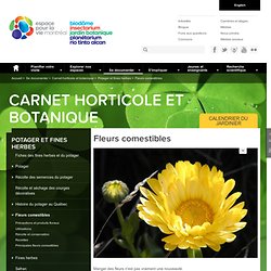 les fleurs comestibles (tableau) : Feuillet horticole du Carnet horticole et botanique
