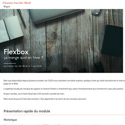 Flexbox, ça mange quoi en hiver ?