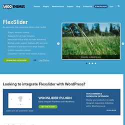 FlexSlider - The Best Responsive jQuery Slider