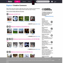 Flickr Creative Commons