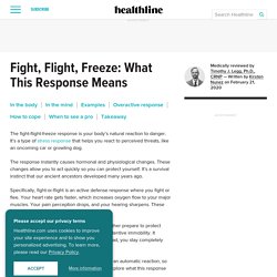 Fight, Flight, or Freeze: How We Respond to Threats