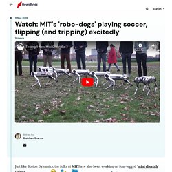 Watch: MIT's 'robo-dogs' playing soccer, flipping (and tripping) excitedly