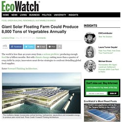 Giant Solar Floating Farm Could Produce 8,000 Tons of Vegetables Annually