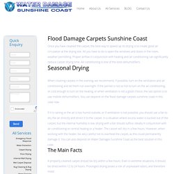 Flood Damage Carpets Sunshine Coast - Water Damage Sunshine Coast