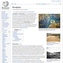 Floodplain (WIKI) [EN]