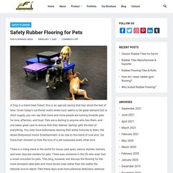 Safety Rubber Flooring for Pets - Blogs