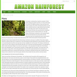 Flora - Save the Amazon Rainforest