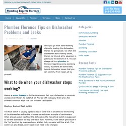 Plumber Florence Tips on Dishwasher Problems and Leaks