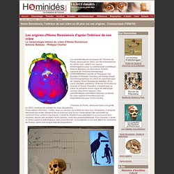 Homo floresiensis, l'intérieur de son crâne montre sa parenté avec Homo erectus