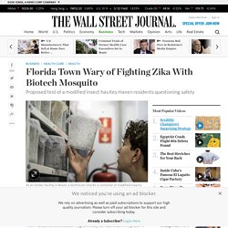 Florida Town Wary of Fighting Zika With Biotech Mosquito