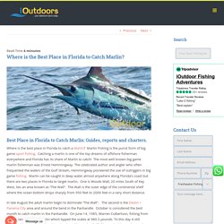 Where is the Best Place in Florida to Catch Marlin?