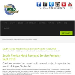 South Florida Mold Removal Service Projects- Sept.2019