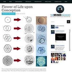 TMU: Flower of Life upon Conception