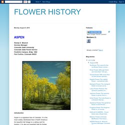 FLOWER HISTORY