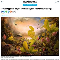 Flowering plants may be 100 million years older than we thought