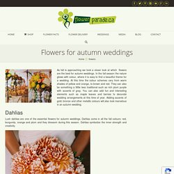 Flowers for autumn weddings