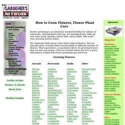 How to Grow Flowers, Growing Flower Seed Catalog, Flower Plants List