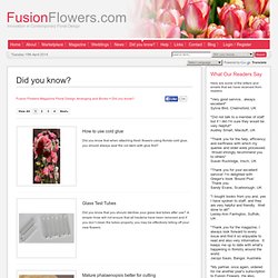 Did you know? > Home > Fusion Flowers