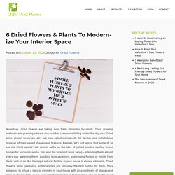 6 Dried Flowers & Plants to Modernize Your Interior Space