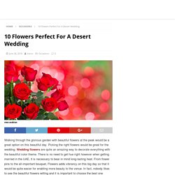 10 Flowers Perfect For A Desert Wedding