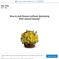 How to pick flowers without destroying their natural beauty? – Site Title