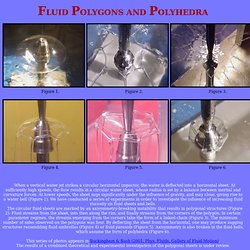 Fluid Polygons and Polyhedra
