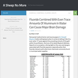 Fluoride Combined With Even Trace Amounts Of Aluminum In Water Can Cause Major Brain Damage