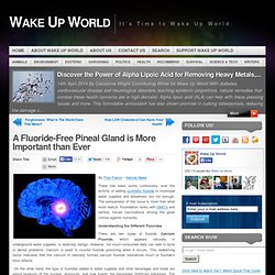 A Fluoride-Free Pineal Gland is More Important than Ever