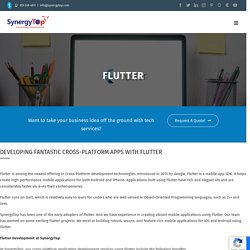 Flutter Development Service San Diego