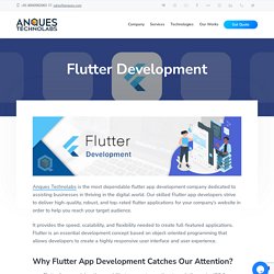 Flutter Development - Anques Technolabs
