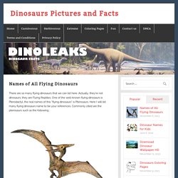 Names of All Flying Dinosaurs