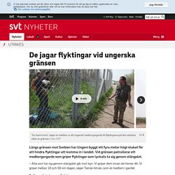 De jagar flyktingar vid ungerska gränsen