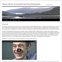 Adrian Harris - Focusing Orientated Therapy on Skype