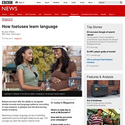 How foetuses learn language - FrontMotion Firefox