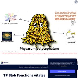 TP Blob Fonctions vitales on Genially