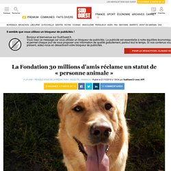 La Fondation 30 millions d’amis réclame un statut de « personne animale »