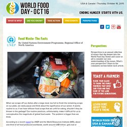 Food Waste: The Facts - World Food Day