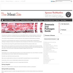 Foodborne Zoonotic Diseases Guide from TheMeatSite