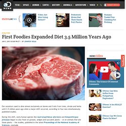 First Foodies Expanded Diet 3.5 Million Years Ago