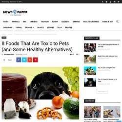 8 Foods That Are Toxic to Pets (and Some Healthy Alternatives)