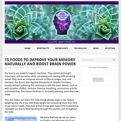 15 Foods to Improve Your Memory Naturally and Boost Brain Power