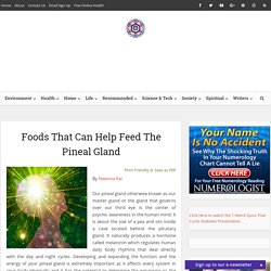 Foods That Can Feed The Pineal Gland
